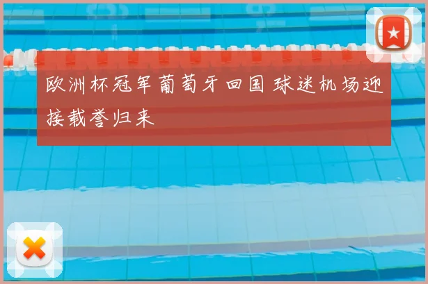 欧洲杯冠军葡萄牙回国 球迷机场迎接载誉归来