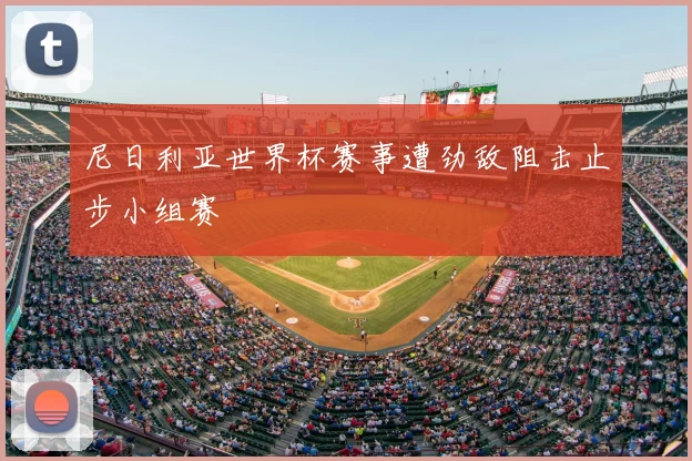 尼日利亚世界杯赛事遭劲敌阻击止步小组赛