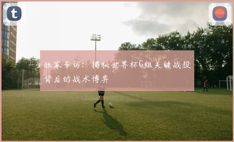 独家专访：揭秘世界杯G组关键战役背后的战术博弈